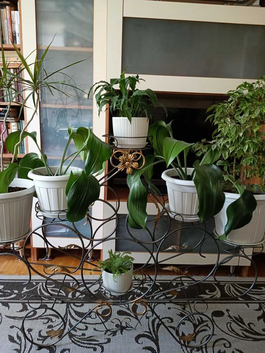 Полка для цветов,кованая