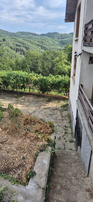 Продава се Къща в с. Горно Хърсово, Област Благоевград - 330 кв.м за 116 €/кв.м - Снимка #4