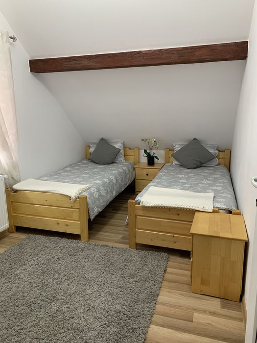 Cabana Roxana 1 și 2 - Băile Figa Beclean