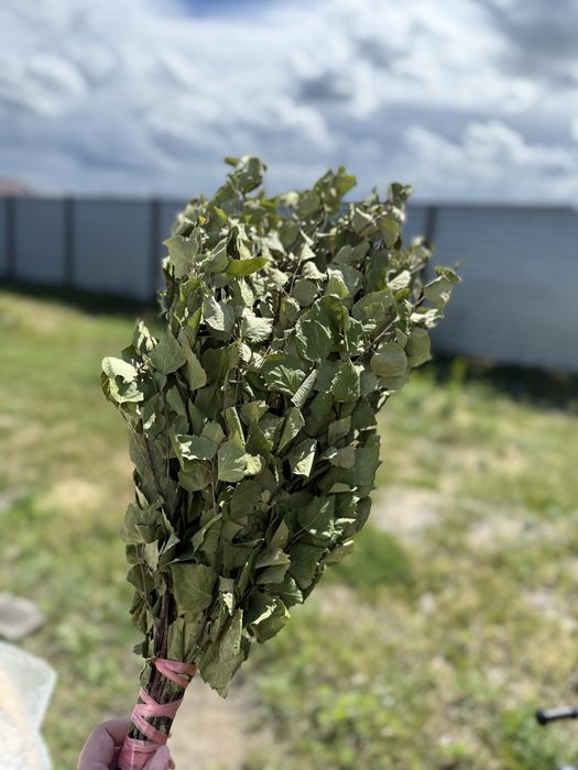 Продам банные веники!