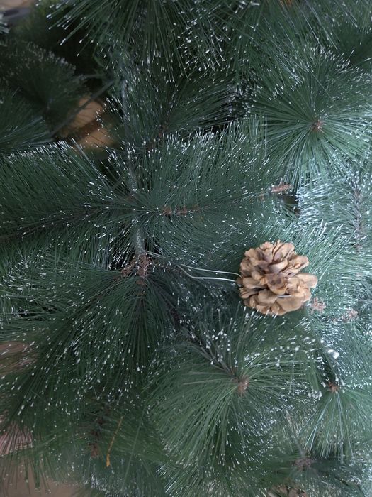 Yengi yil archa sotiladi