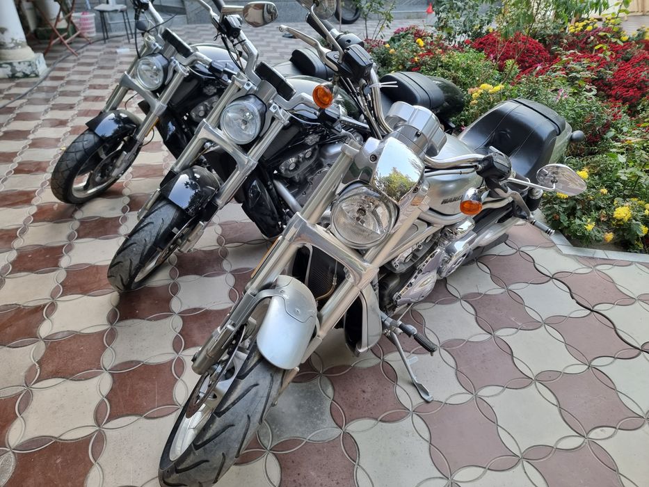 Harley-davidson night rod