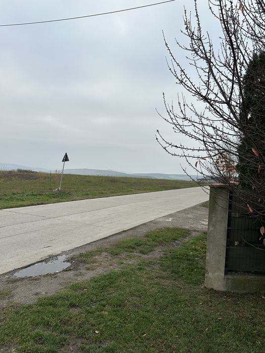 Teren vânzare intravilan REDIU-Horlești la Șoseaua strategică DJ 248 B