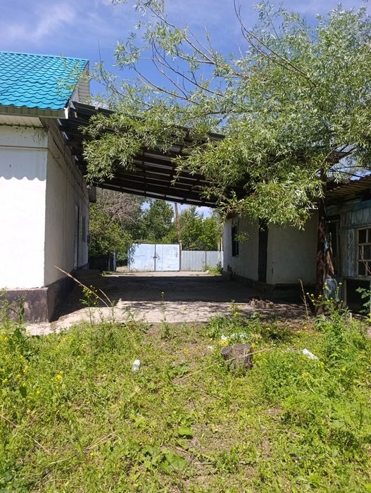 Аренда дома с участком