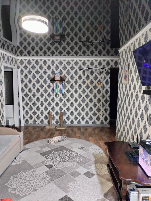 3х комнатная квартира