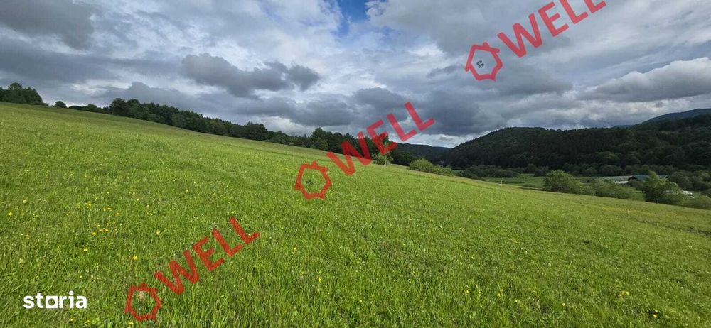 Teren extravilan de vânzare în Vama Buzăului, județul Brașov!