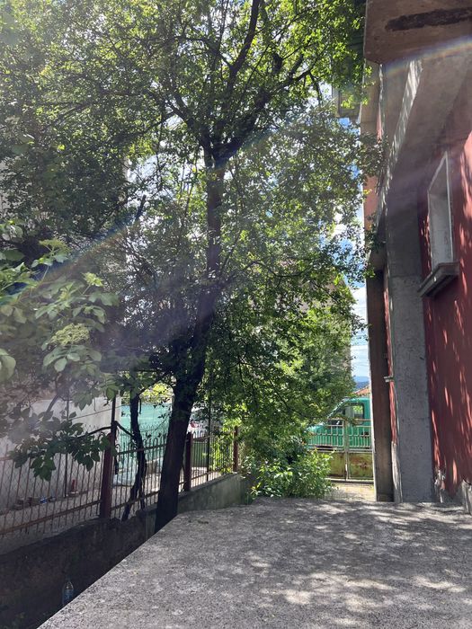 Косене на тревни площи и рязане на дърва и дървета