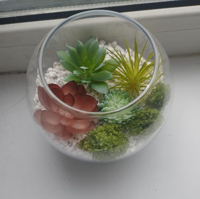 Флорариум с суккулентами в подарок!