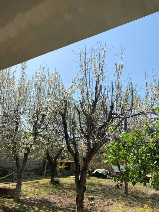 Продаётся готовый участок 6 соток, 4 комнаты. Ориентир Автостанция ТТЗ