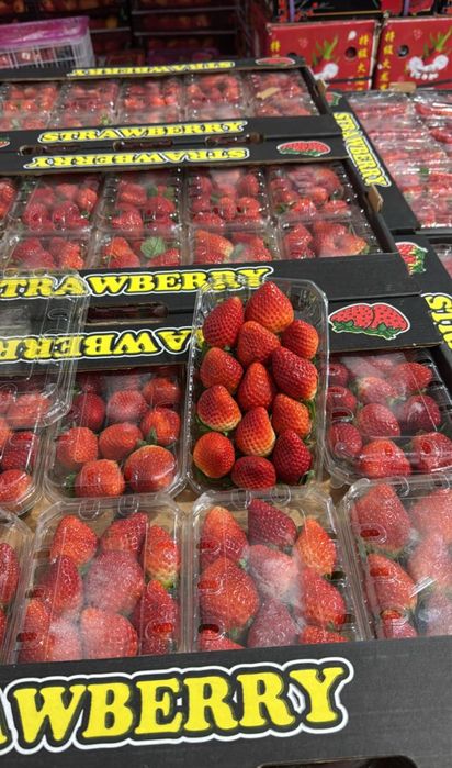 Клубника оптом и в розницу