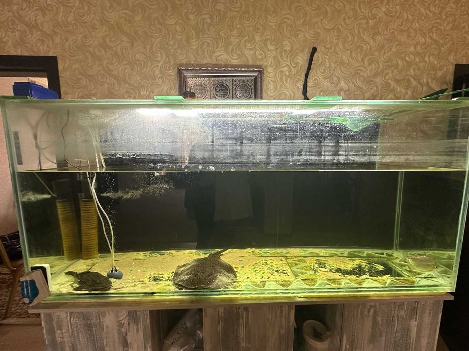 Аквариум продаю 800л