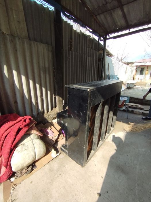 Pionina sotildi idial xolatda