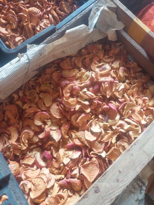 Сухофрукты находимся Есике