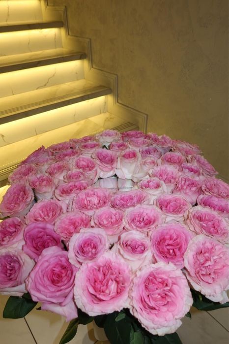 Голландские розы