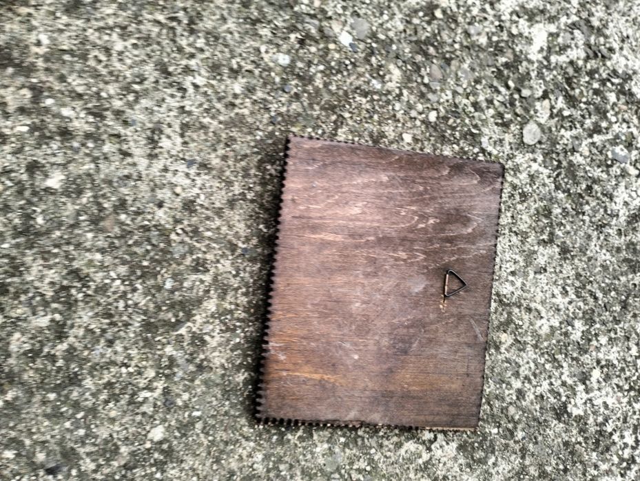 Меден плакет на Шопен