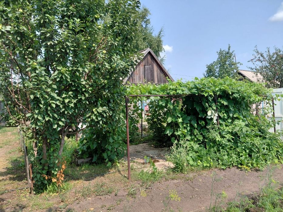 Продам дачу в" Чапаева"