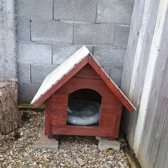 Căsuța câine din lemn