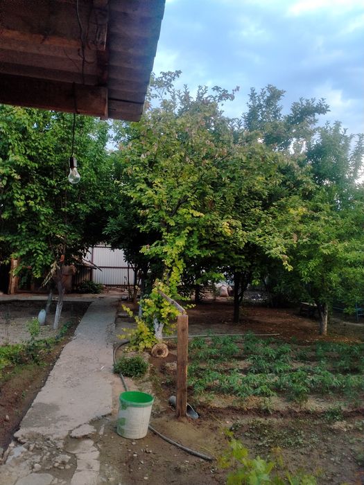 Дом частный мансардный