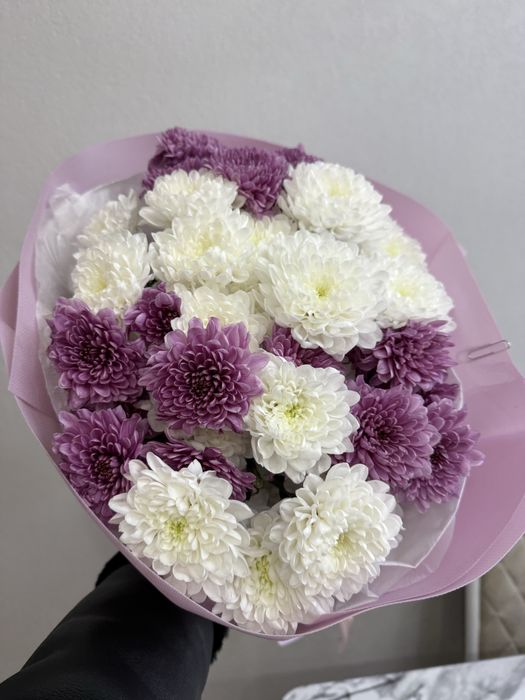 Цветы хризантемы.