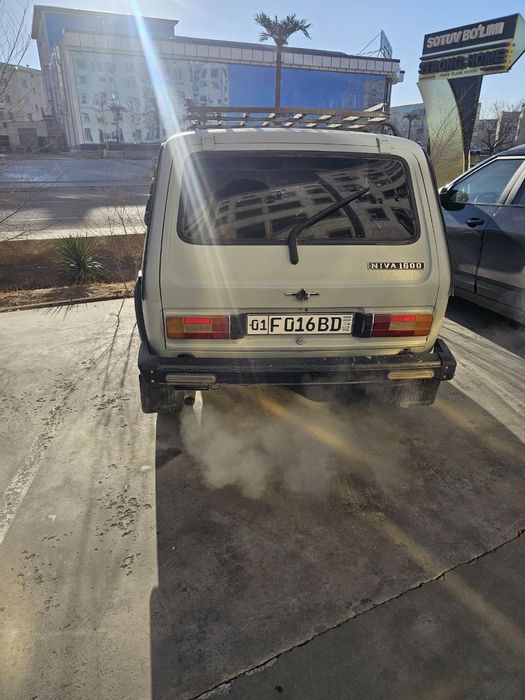 нива йили 1981 .