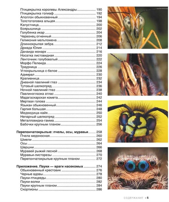 Книга про насекомых