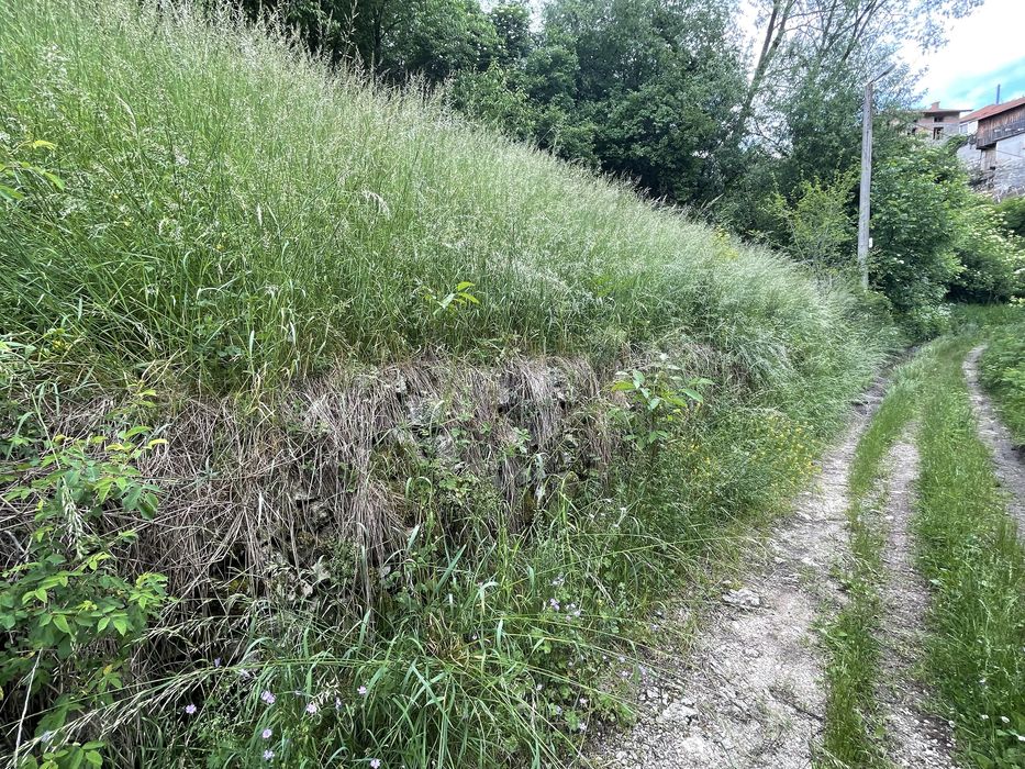 С. Момчиловци, обл. Смолян, 590 кв.м. В регулация