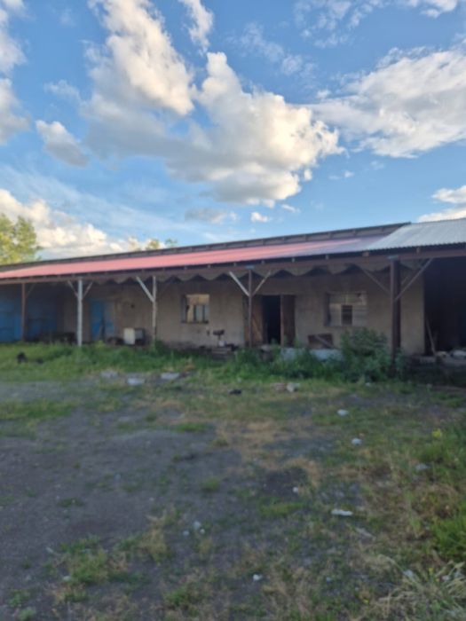 продам бойню и базу