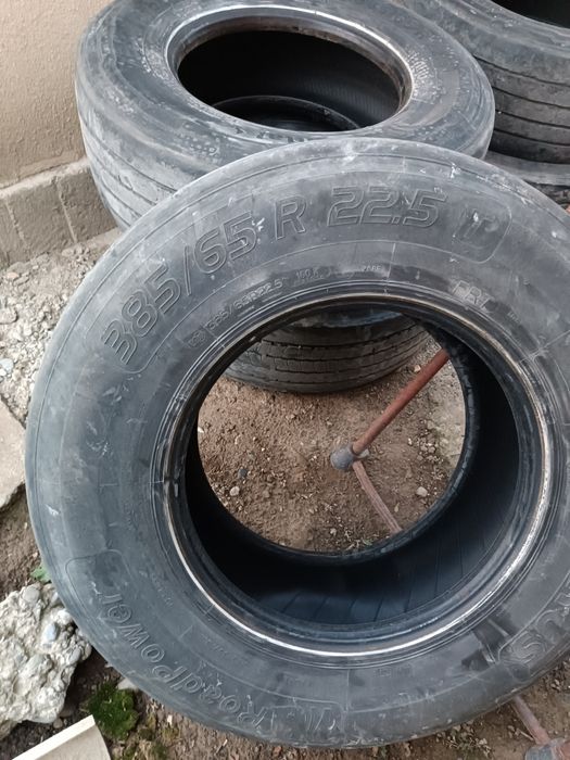 Прецепный болоны