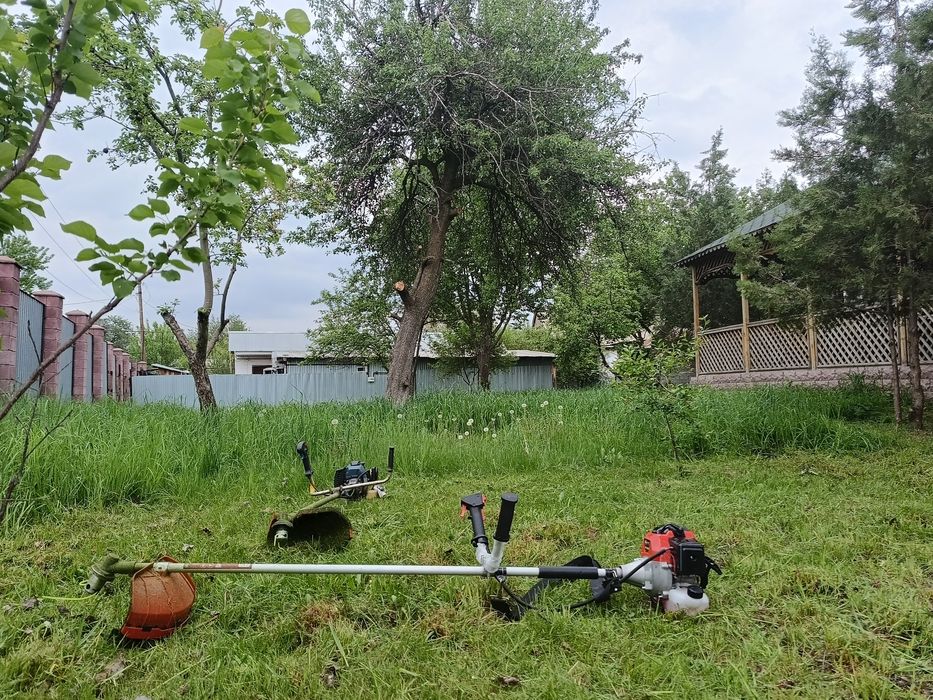 Косим траву, Газон