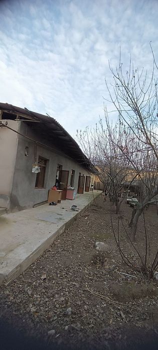 XovLi 2x 250ye pustoy. M.Fozilov KeLes. 4.maktab RieLtor_50% +variyant