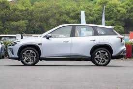 NETA L на заказ (buyurtma asosida)