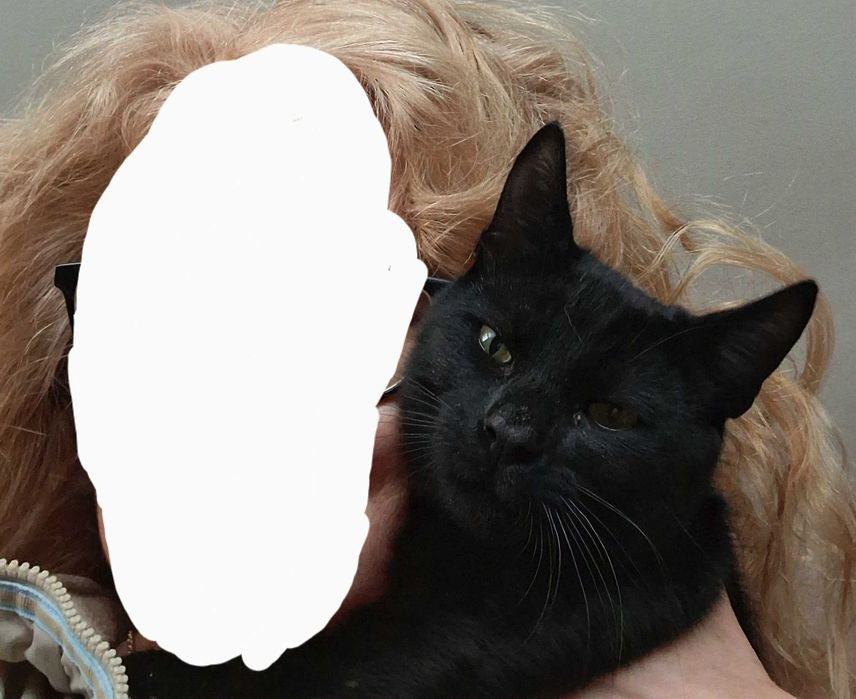 Две братчета на 7 м. търсят любящ дом