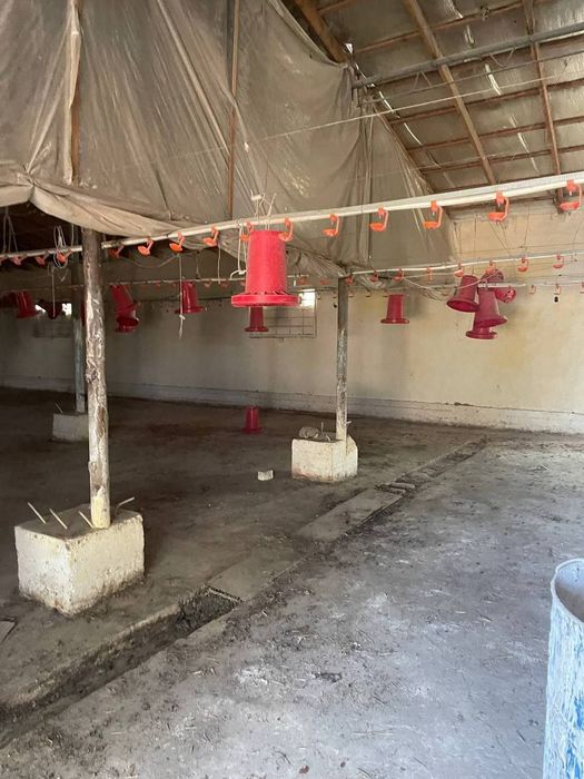 Срочноя продается земля под бизнес готовая ферма