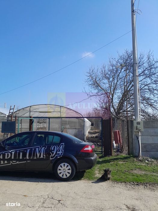 Vanzare Teren 3100 Mp - Sat Rosiori (Il)