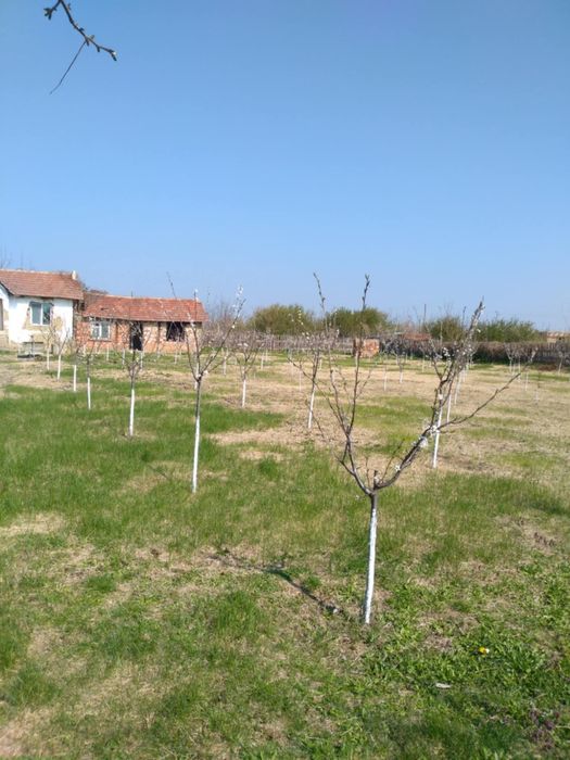 Продава се Къща в с. Асеновци, Област Плевен - 60 кв.м за 192 €/кв.м - Снимка #1