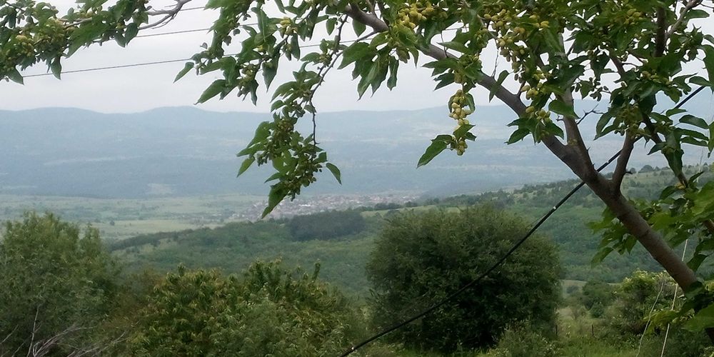 Продава се Парцел в с. Горно вършило, Област Пазарджик - 866 кв.м за 21 €/кв.м - Снимка #1