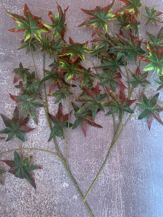 Осенние листья зелёные