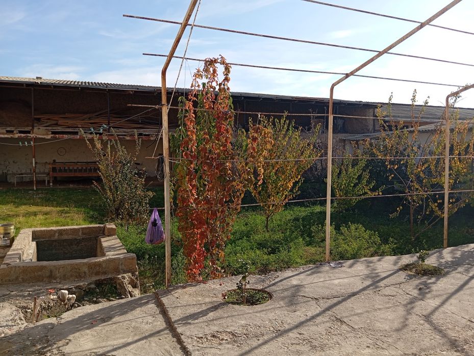 Коттедж сотилади.Уч-тепа