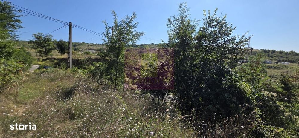 Teren intravilan 4.029 mp de vanzare, zona Crama Seciu