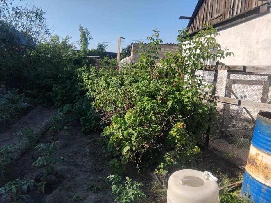 Продам       дом