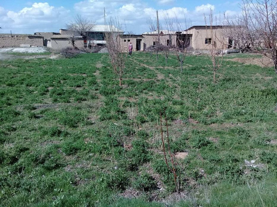 Жой сотилади, бу́линадиган. Нархи келишилади.