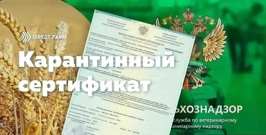 Регистрация импортных и экспортных контрактов в системе ЕЭИСВО.