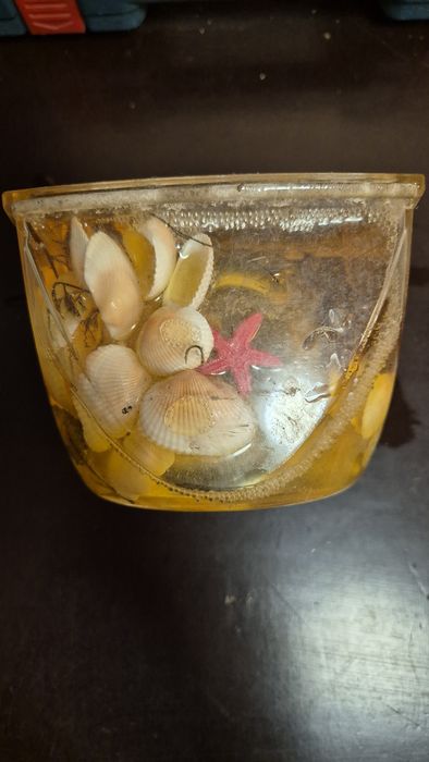 Ракушки для аква