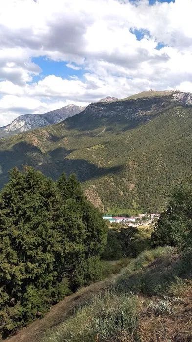 Поездка в Чимган гид-водитель. Трансфер.tour. Минивэн Hyundai 7мест