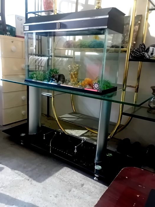 Аквариум коттасидан