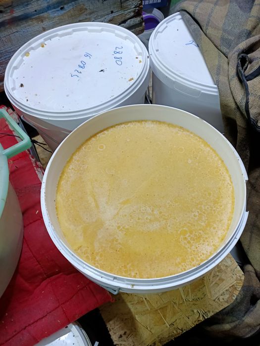 Продам мёд разнотравье