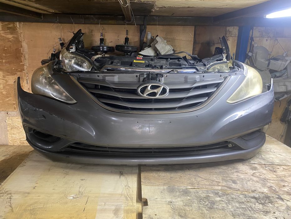 Ноускат Соната YF7