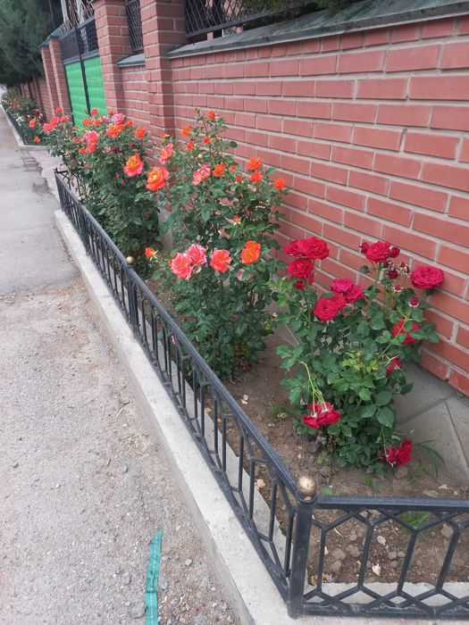 Продам дом в п.Коксай