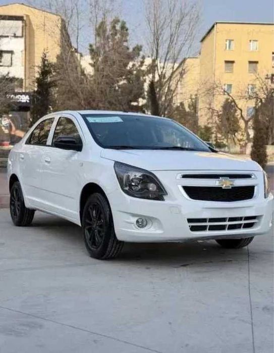 Cobalt midnight naqd va halol nasiya