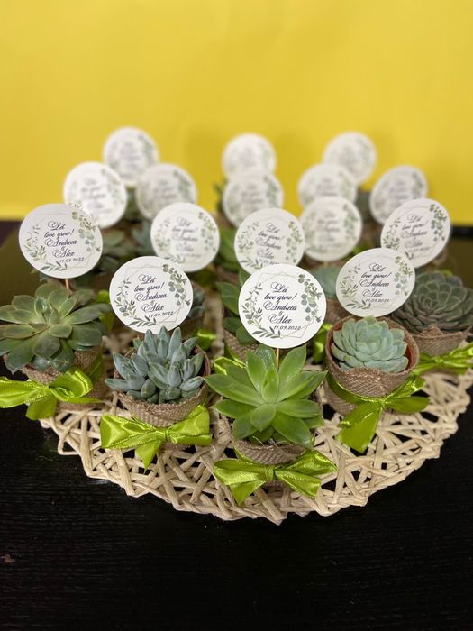 Marturii suculente nunta